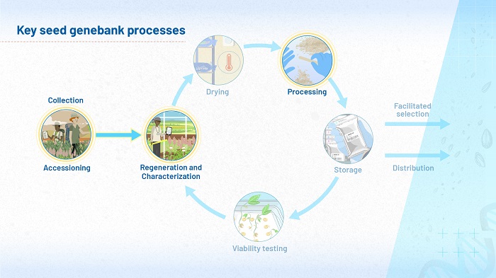 The image shows the flow diagram of key processes first shown in module 1. In this version of the diagram, the processes of collection, regeneration and processing are highlighted, since these three processes are the focus of this module.