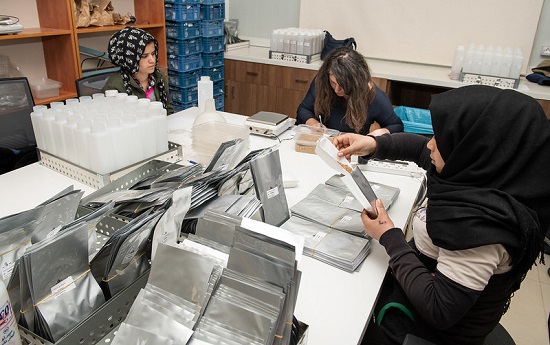 The image shows female technicians at the The International Center for Agricultural Research in the Dry Areas weighing and dividing seeds for storage.