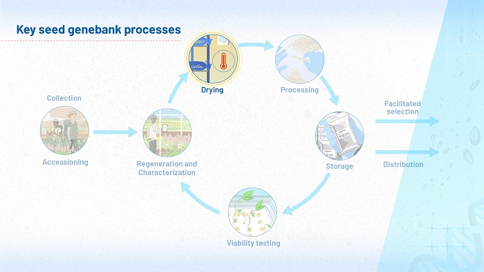The image shows the flow diagram of key processes first shown in module 1. In this version of the diagram, the processes of regeneration and drying are highlighted, to reflect the fact that these two processes are the focus of this module.