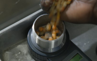 The image shows a scientist pouring maize seeds into a moisture meter at the International Institute for Tropical Agriculture.