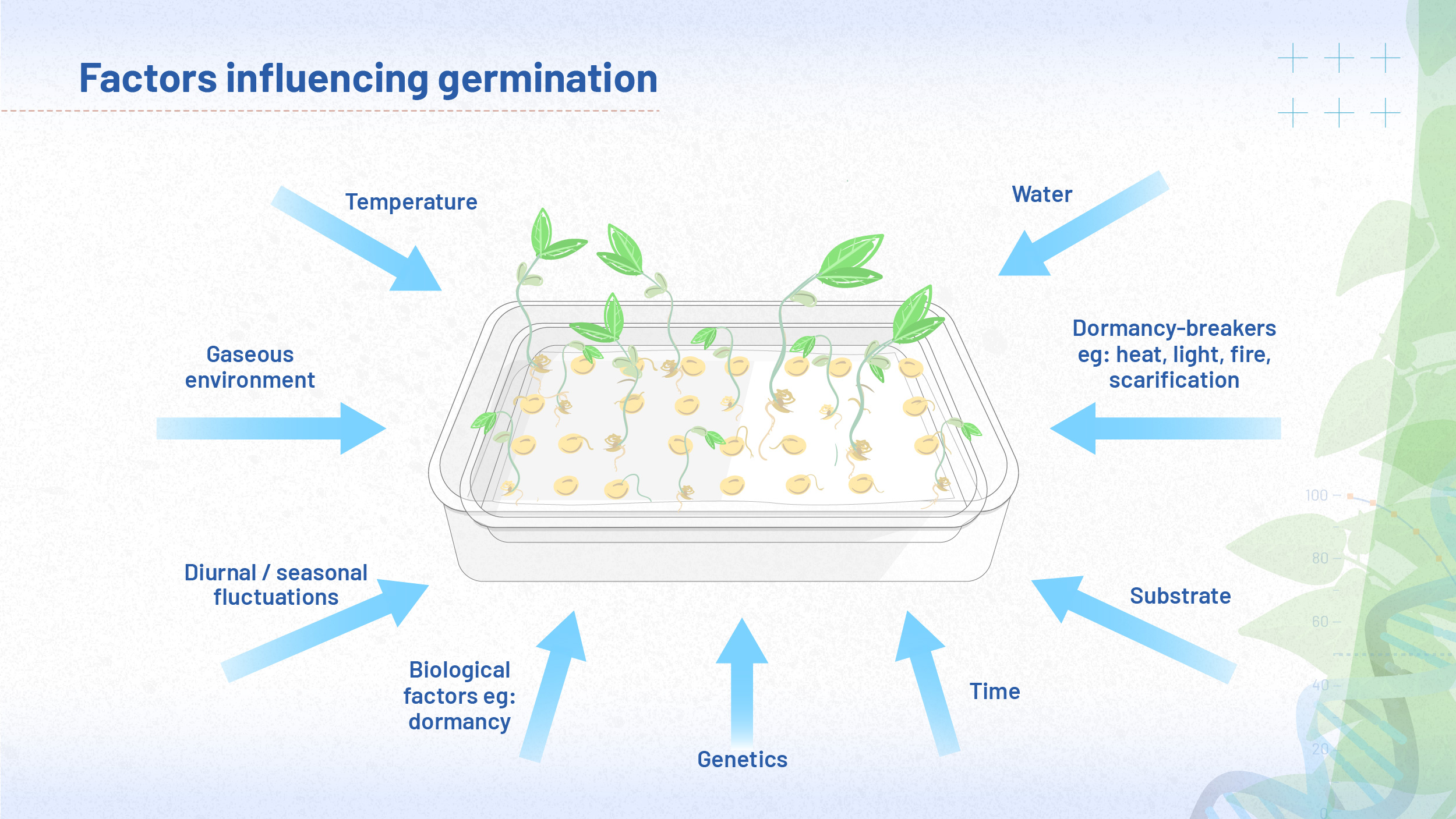 The image summarises the factors influencing germination discussed in this module: temperature, gaseous environment, diurnal or seasonal fluctuations, biological factors such as dormancy, genetics, passage of time, substrate, water and presence (or absence) of dormancy-breakers.