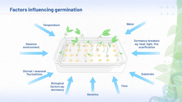 The image summarises the factors influencing germination discussed in this module: temperature, gaseous environment, diurnal or seasonal fluctuations, biological factors such as dormancy, genetics, passage of time, substrate, water and presence (or absence) of dormancy-breakers.