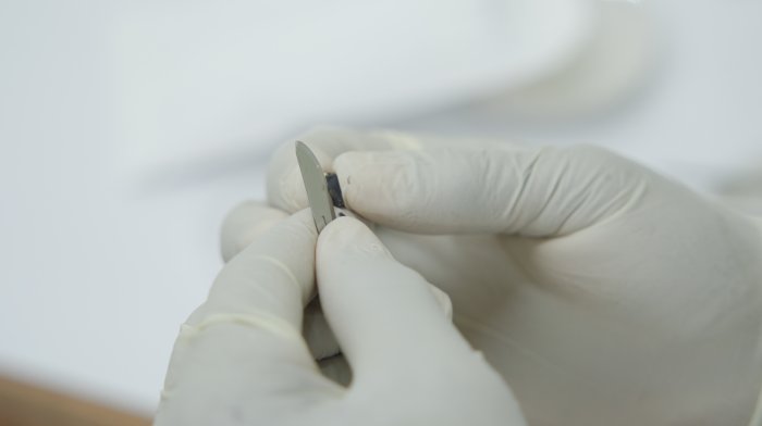 The image shows a technician at the International Institute for Tropical Agriculture using a scalpel to break the seed coat of a legume seed.