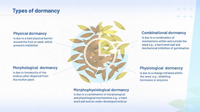 The image summarises the five different types of dormancy introduced in this module: physical, combinational, physiological, morphological and morphophysiological.