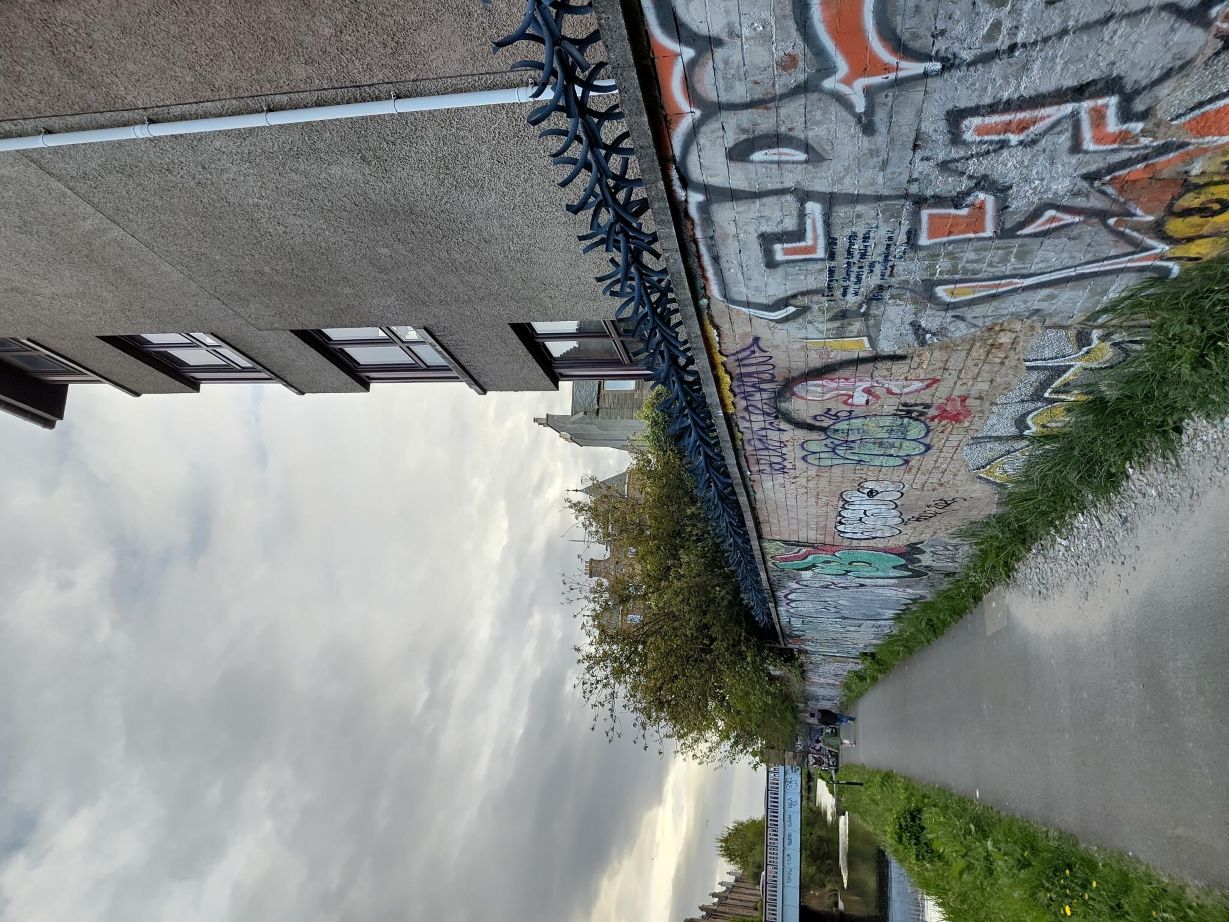 Path along a high, graffitied, wall with barbed wire on top. A tree overhangs. Behind it, a pebble-dashed block of flats.