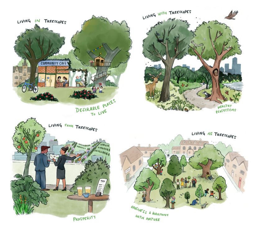 All four of the vision illustrations, next to each other