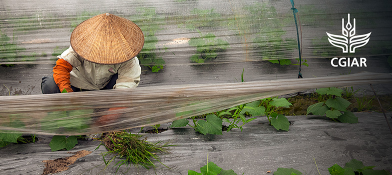 The science of seed quality management (Edition 2)