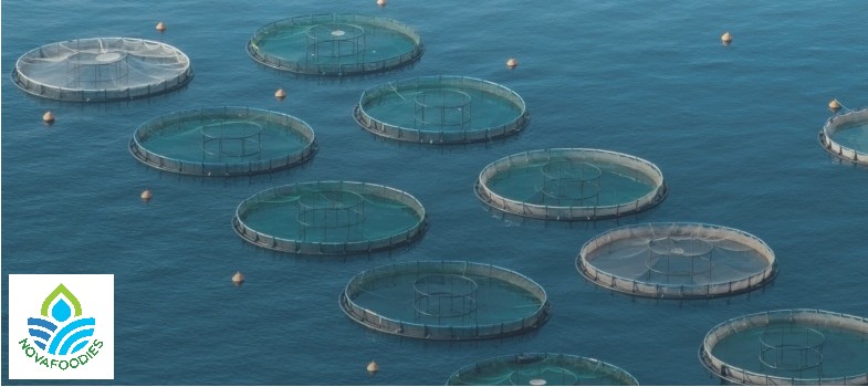 Sustainable Food Value Chains of Aquatic Resources (1/4)