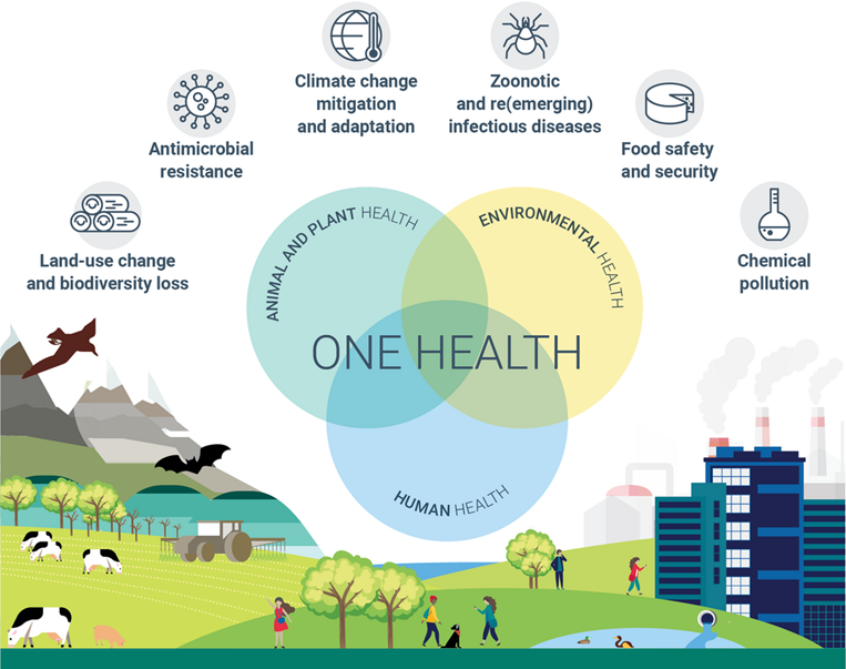 The European one health approach