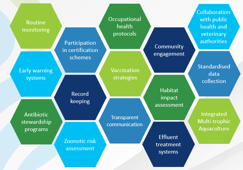 This is an ecosystem of implementation strategies.