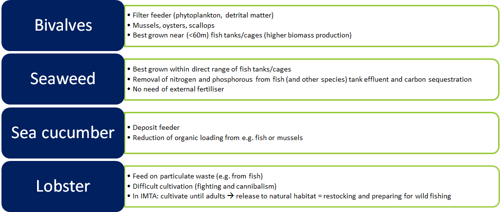 A list of extractive species that are used in IMTA