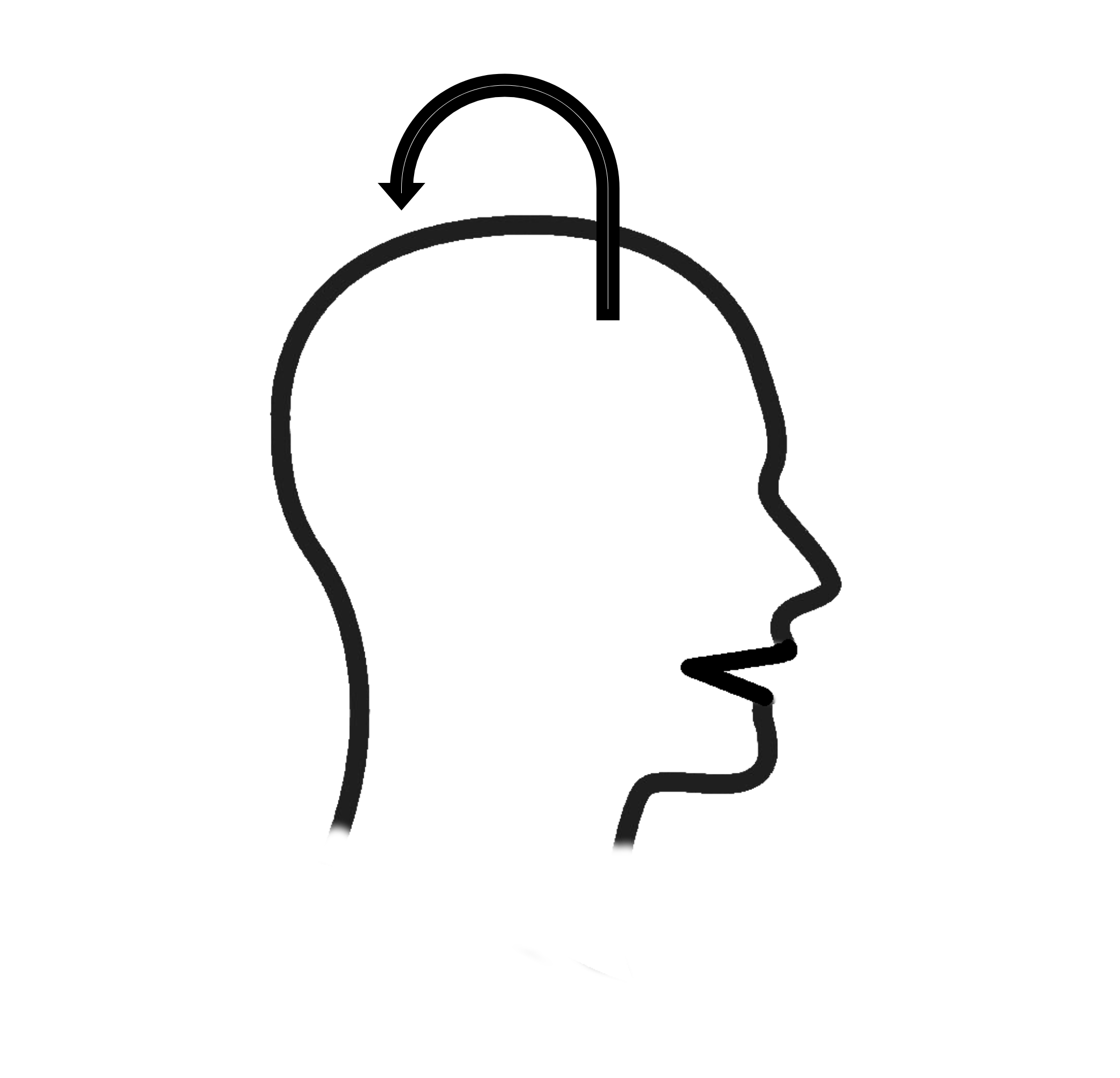 Outine image of a head with an arrow pointing out of the head and back in. Signifying metacognition.