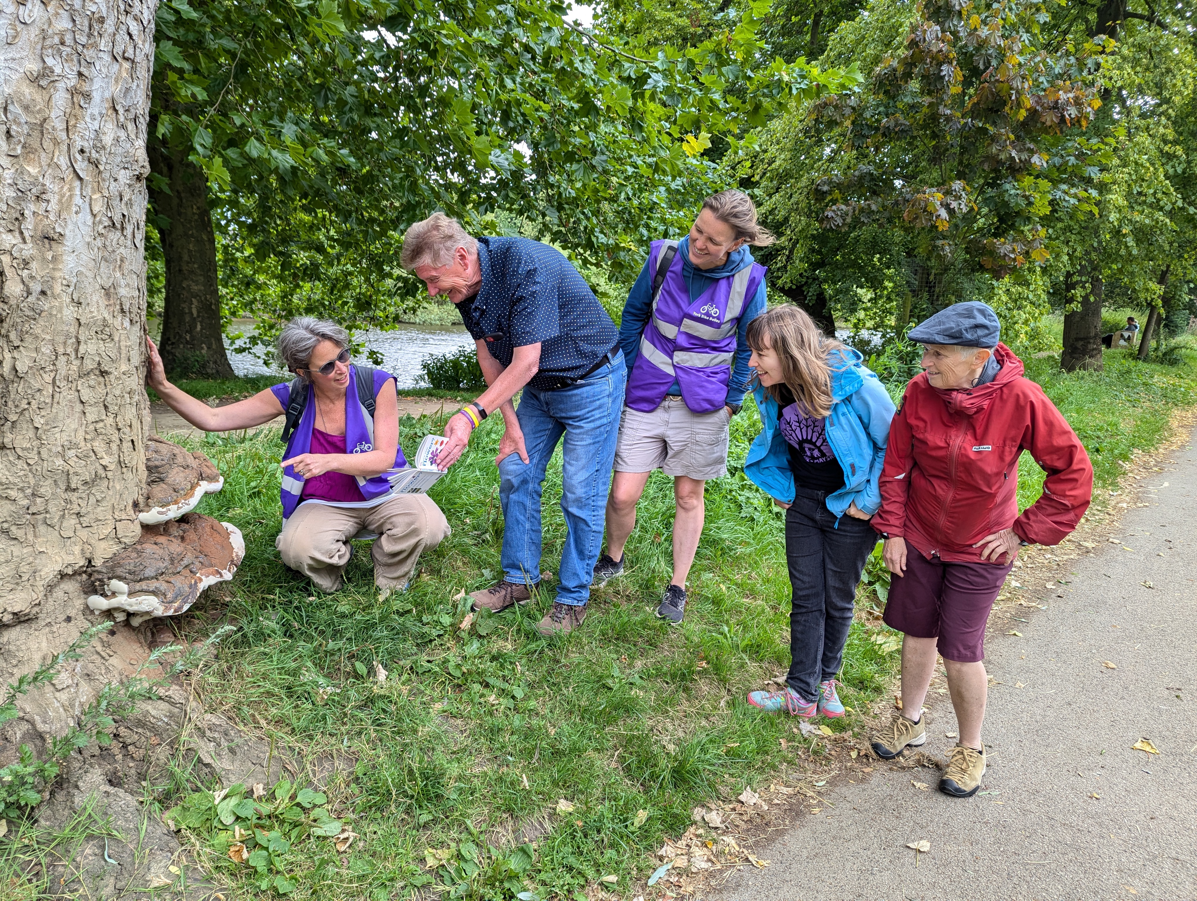 A group of 5 people are looking at a bracket fungus growing at the base of the tree.  One person has an identification book and is showing this to another person.