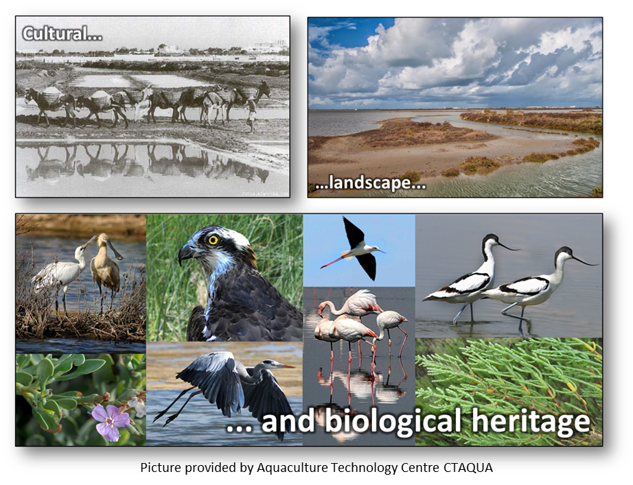 three photos of earthen ponds, one titled cultural, showing donkeys in the earthen pond, the second titled landscape, showing