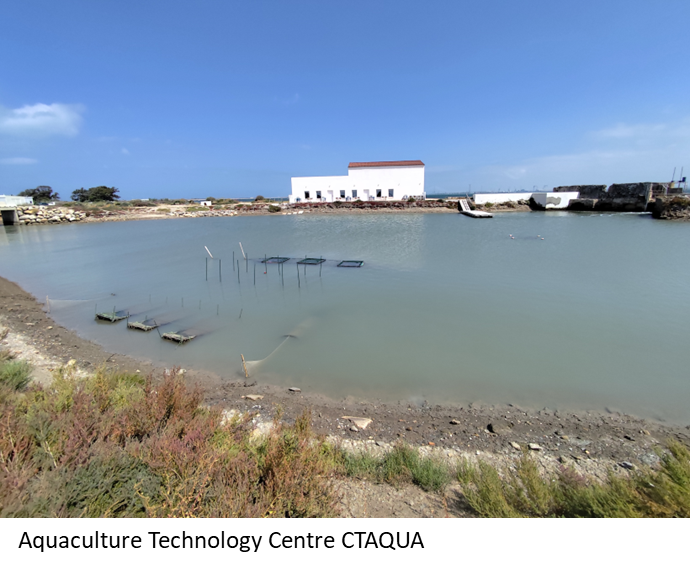 A photo of a body of water with aquaculture equipment
