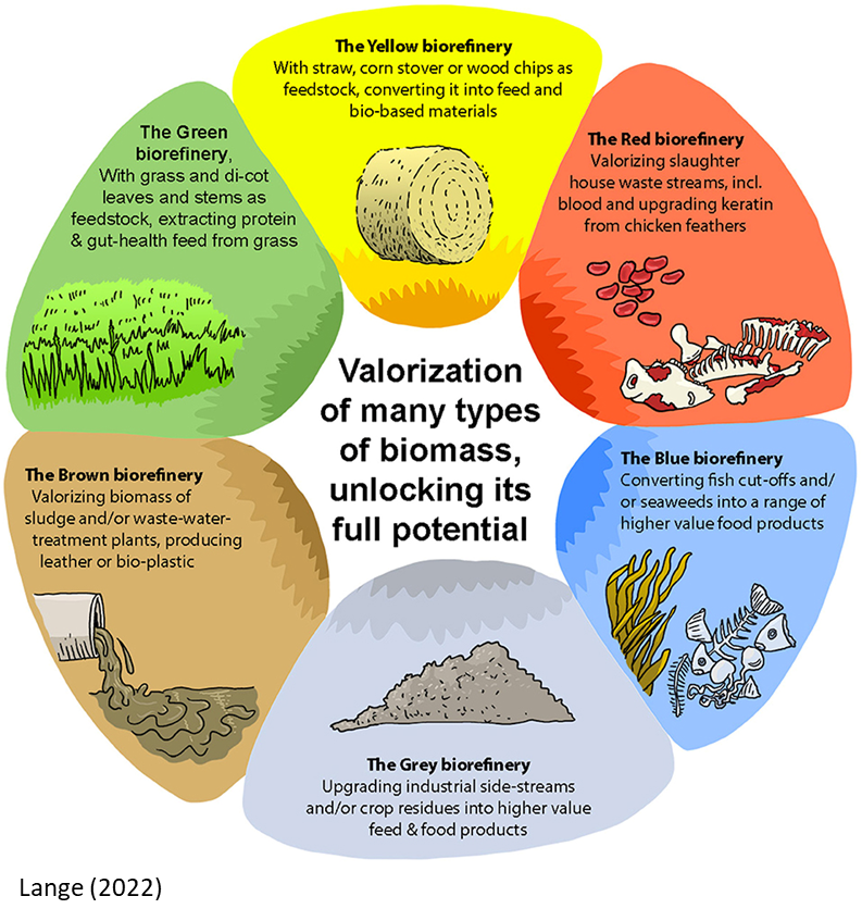 A diagram reading Valorization of many types of biomass, unlocking its full potential. The six different types read: The Yell