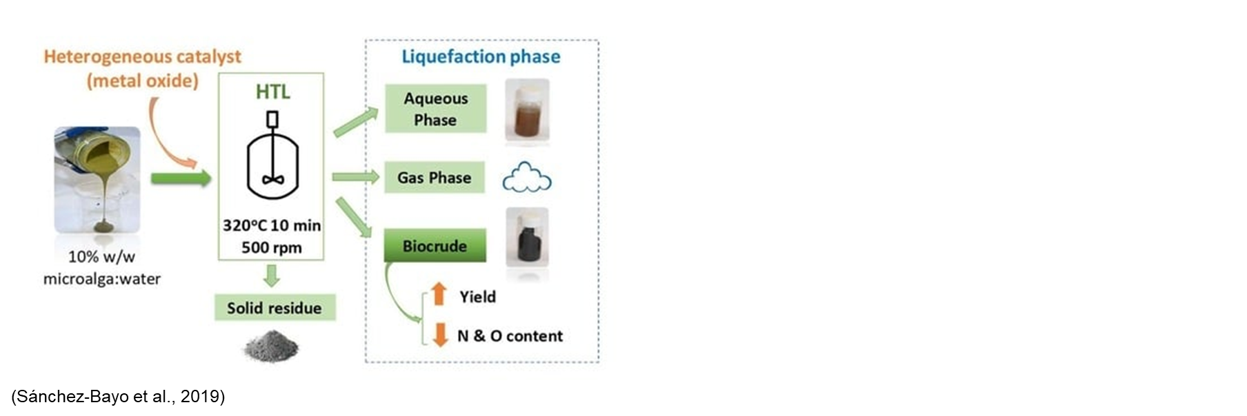A schematic of Hydrothermal liquefaction (HTL). on the left is a small photo of a glass of microalgae sludge being poured int