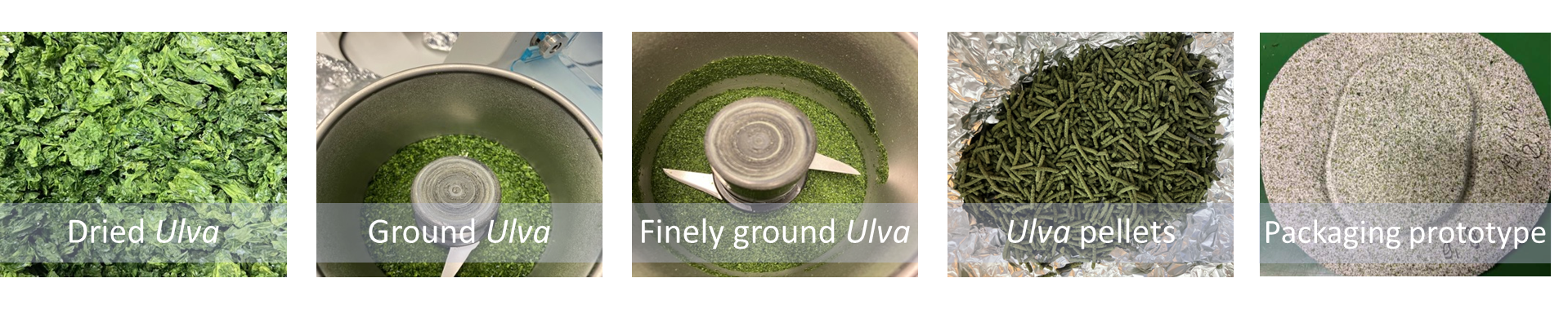 Five photographs in a row showing the processing steps of dried ulva for the packaging.