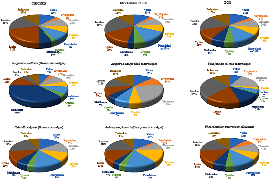 Amino acid profile of chicken, soyabean seeds, egg, macroalgae and microalgae. (Thakur et al. 2024)