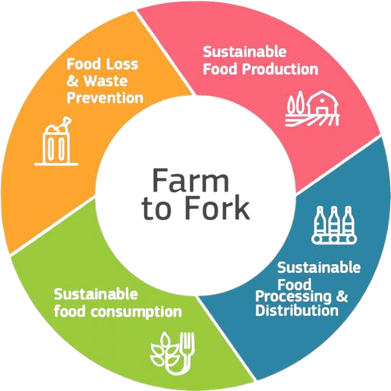 A donut diagram with four equal parts, reading Farm to Fork in the center: Sustainable Food Production, Sustainable Food Proc