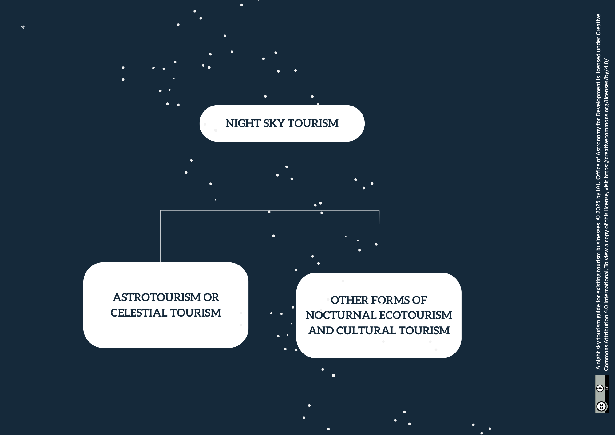 An image of a flow diagram showing the different types of night sky tourism offerings
