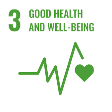 Icon of UN SDG 3: Good Health and Well-Being
