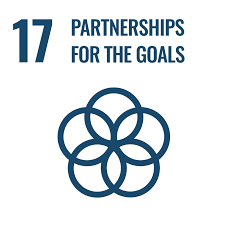 Icon of UN SDG 17: Partnerships for the Goals
