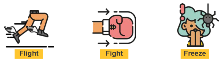 Fight, flight, freeze.