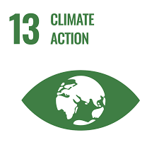 Icon of UN SDG 13: Climate Action