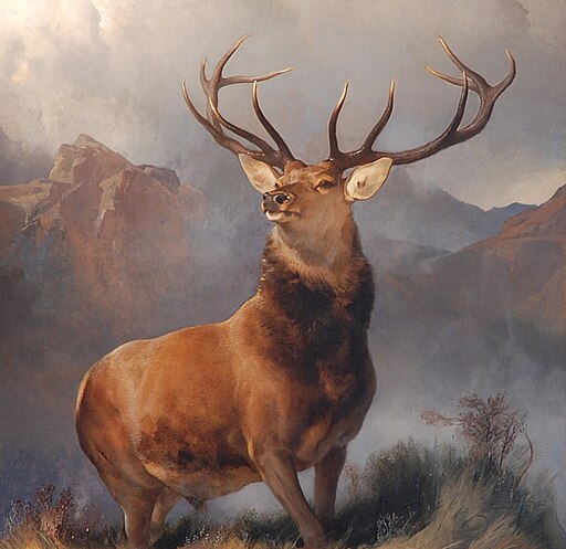 Large stag with mountains in the background