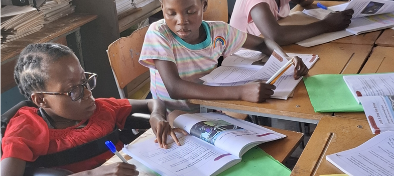 Zimbabwe Disability Toolkit App
