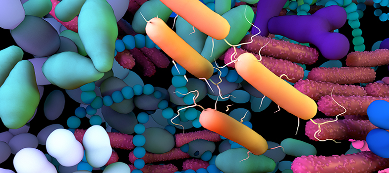 Research - Tackling antimicrobial resistance