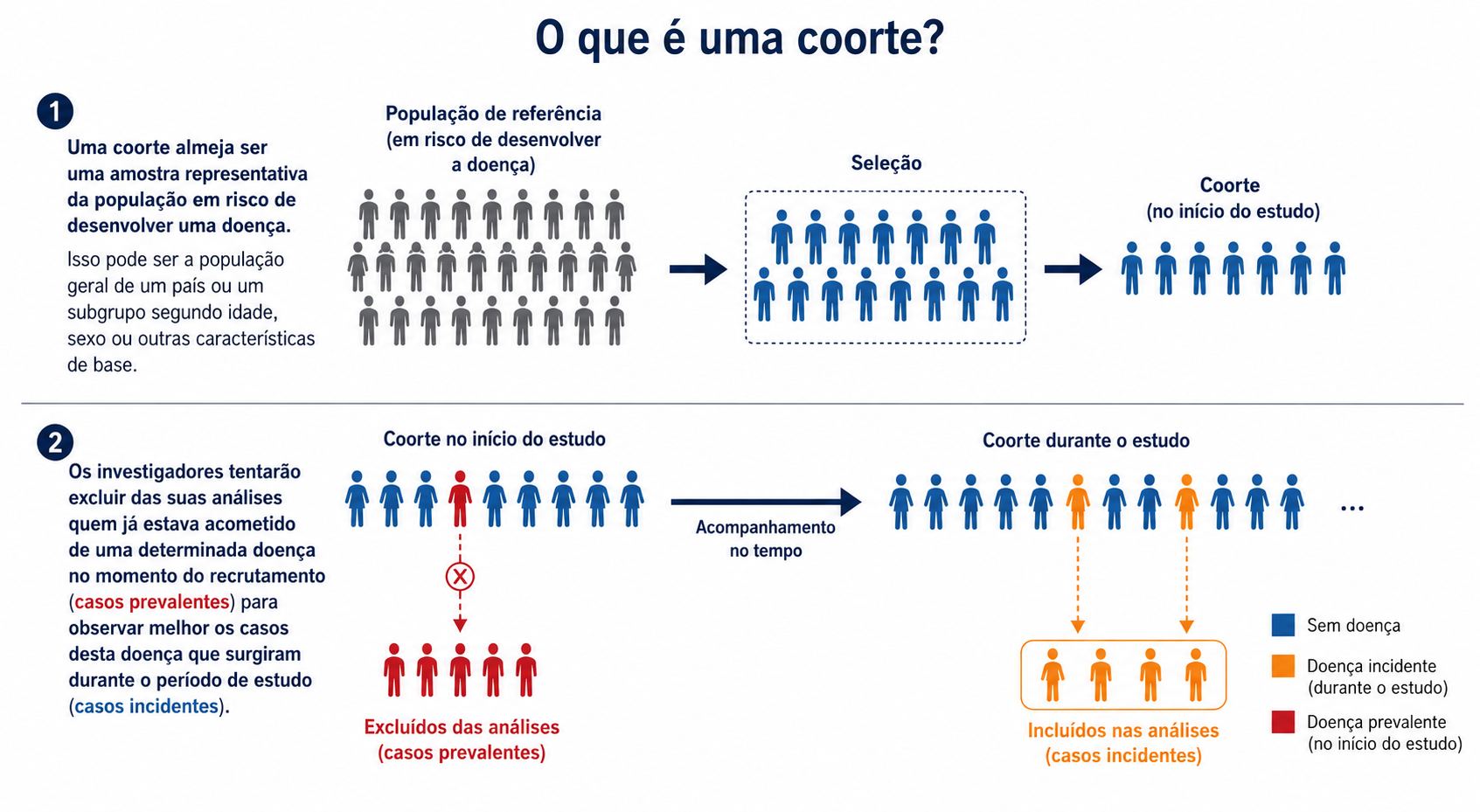 Uma coorte almeja ser uma amostra representativa da população em risco de desenvolver uma doença. Isso pode ser a população geral de um país ou um subgrupo segundo idade, sexo ou outras características de base.
Os investigadores tentarão excluir das suas análises quem já estava acometido de uma determinada doença no momento do recrutamento (casos prevalentes) para observar melhor os casos desta doença que surgiram durante o período de estudo (casos incidentes).